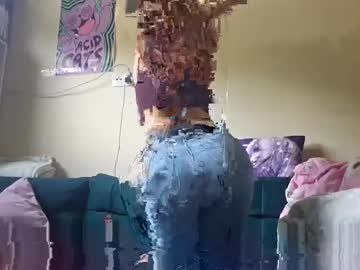 majestycat