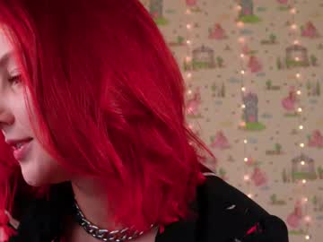 red rose12