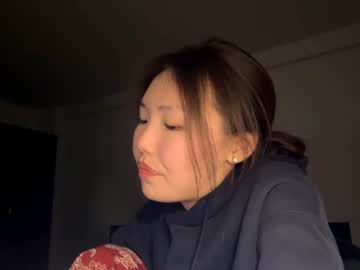 stefanyhoy